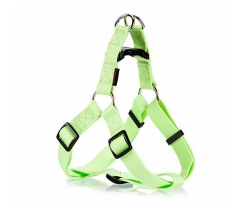 harness for dogs
