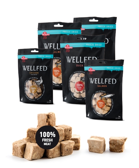 freeze dry treats for dogs